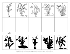 Schattenbilder-Schneeglöckchen-2.pdf